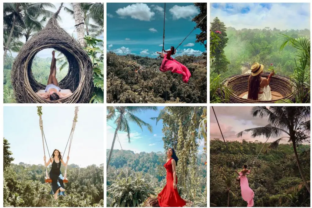 11 Best Bali Swings And Nests 2021 Guide Everything You Need To Know Seek To Travel