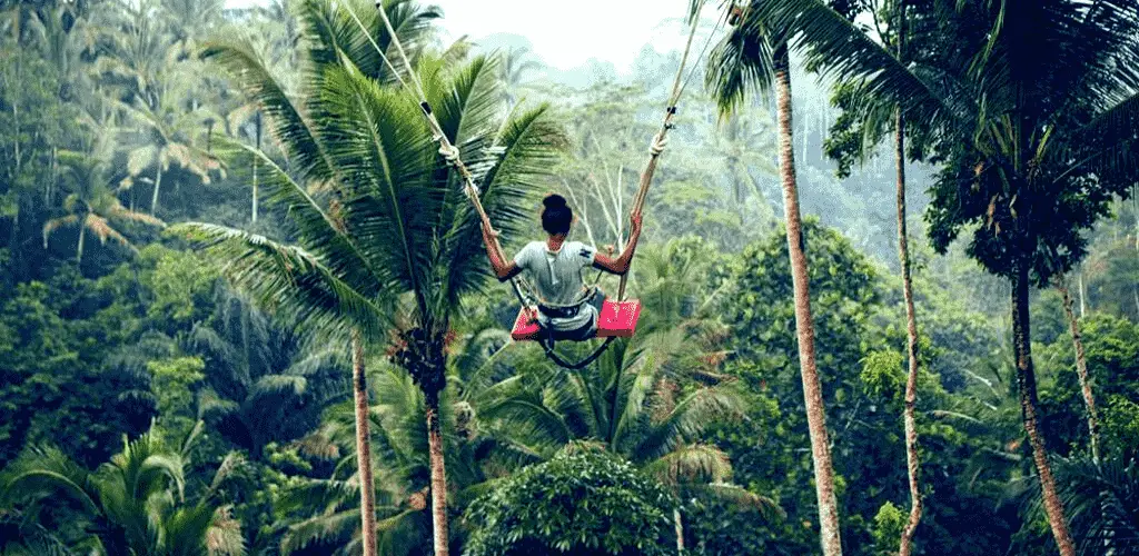 Bali Ubud Swing