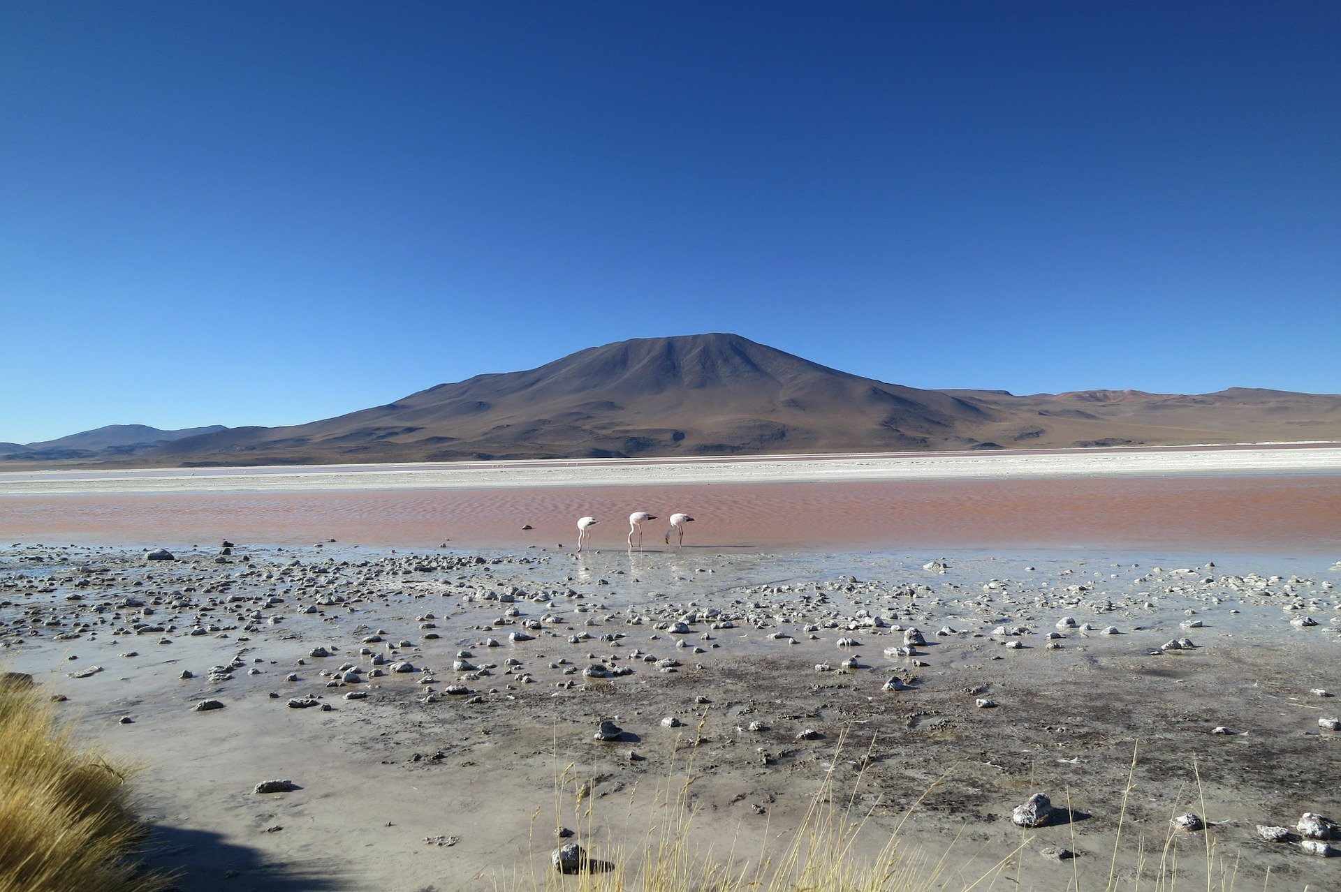 Atacama Desert Chile