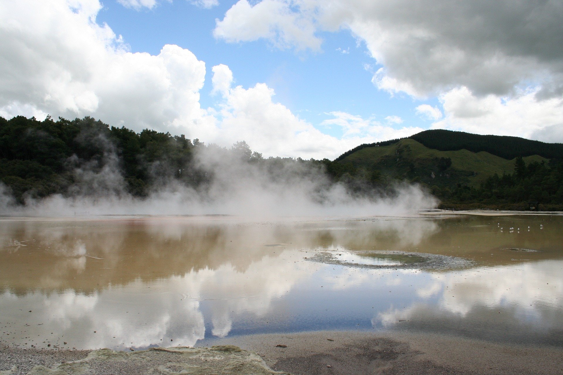 new-zealand-mud pools