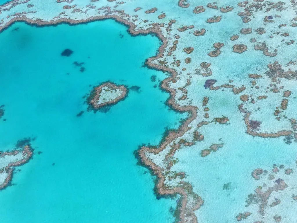 Great Barrier Reef Queensland