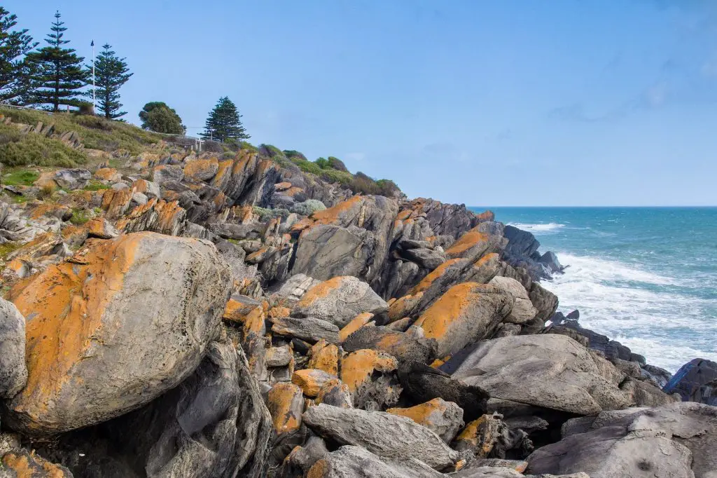 kangaroo island South Australia