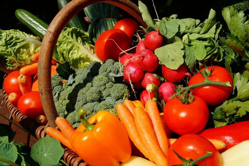 Farmers Market Vegetables