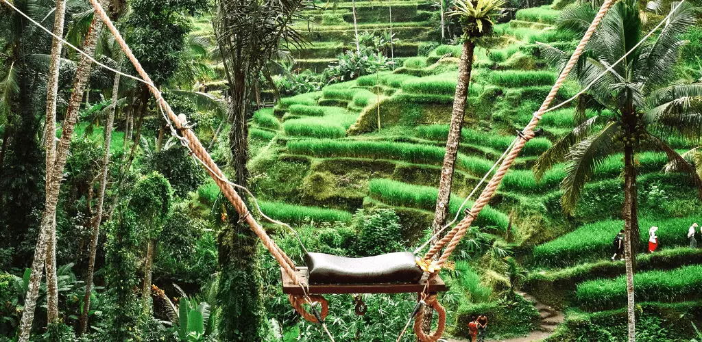 Tegalalang Rice Terrace Swing Bali